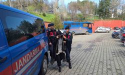 Eşini av tüfeğiyle katleden kadın adliyeye sevk edildi