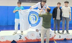 Eskişehir'de taekwondo turnuvası tamamlandı