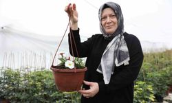 Ev hanımı süs bitkileri serasıyla başarıya ulaştı