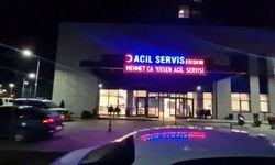 Evinde tartıştığı kadını bıçaklayıp intihar girişiminde bulundu