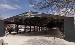Fuar Alanı ve Pazaryeri Bir Arada