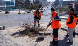 Gölbaşı'nda temizlik harekâtı