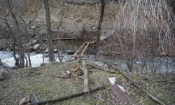 Gümüşhane'de Elektrik Çarpması Sonucu Yaşlı Adam Hayatını Kaybetti