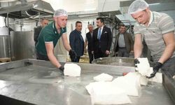 Günlük 3,5 ton süt ile 12 çeşit peynir üreten kooperatif