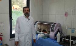 Gürsu Butik Hayvanat Bahçesi yeni misafirlerini karşılıyor