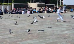 Gürültülü Ortama Rağmen Kitap Okumayı Başardılar