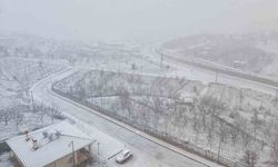 Hadim ilçesinde kar yağışı etkili oldu