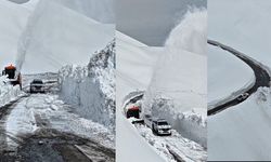 Hakkari'den güvenlik konusunda mesaj