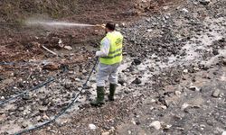 HBB haşereyle mücadele çalışmalarına devam ediyor