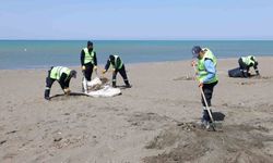HBB, sahil temizlik çalışmalarını yaz öncesi hızlandırıyor