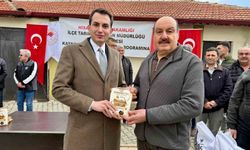 Hisarcık'ta arıcılara şeker, çiftçilere tohumm dağıtıldı