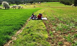 Hisarcık'ta tarımsal saha incelemeleri yapıldı