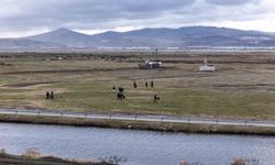 Hürmetçi'de asfalt çalışmaları, çevre düzenlemeleri ve yeşil alan projeleri hayata geçiriliyor