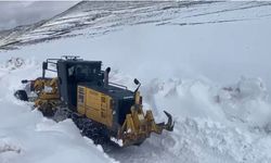 Iğdır'da nisan ayında yoğun kar yağışı