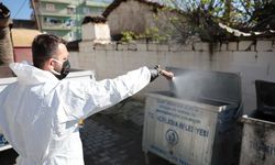 İncirliova'da Sivrisinek Mücadelesine Erken Başlandı