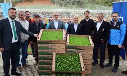 İşlenmeyen Tarım Arazileri Yeniden Üretime Kazandırılıyor: Çiftçilere Yüzde 75 Hibeli Fide Desteği Sağlanıyor