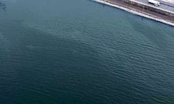 İzmir Körfezi'nde kirlilik tehlikesi: 11. kez tespit edildi