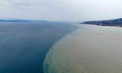 İzmit Körfezi'nde Renk Değişimi: Derenin Taşdığı Çamur Deniz Suyunu Etkiledi