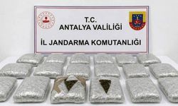 Jandarma Antalya'da uyuşturucu operasyonu düzenledi: 30 kilogram skunk yakalandı