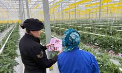 Jandarmadan Kadına Şiddetle Mücadele Çalışmaları Devam Ediyor