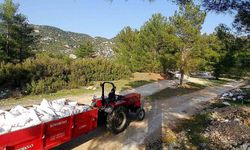 Kaçak Döküm Yapanlar Fotokapanlarla Yakalandı