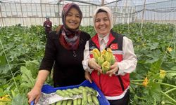 Kadın çiftçi, tarımda başarıyı yakaladı ve ürünlerini ihraç ediyor