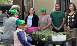 Kadın üreticiler çağla turşusuyla ekonomiye katkı sağlıyor