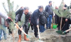 Kadınların İşbirliğiyle Fidanlar Toprakla Buluştu