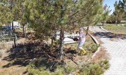 Kahramanmaraş mezarlıklarında bakım çalışmaları başladı