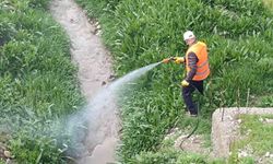 Kahta Belediyesi, haşerelere karşı etkili bir mücadele yürütüyor