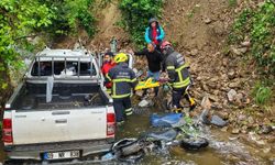 Kamyonet dereye düştü: 2 yaralı