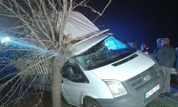 Kamyonet şarampole devrildi: 1 kişi yaralı