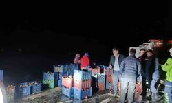 Kamyonetin devrilmesiyle yola saçılan 2 ton elmayı köylüler topladı