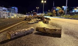 Kamyonun damperi kalktı, odunlar yola savruldu