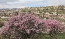 Kapadokya bahara hazır