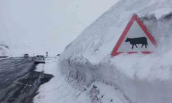 Kar kalınlığı tabelaları geçti