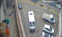 Karaca Giresun'un Görele ilçesinde şehir merkezine indi: iki araca çarptı ve kayboldu