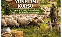 Karacasu'da hayvancılık eğitimi başlıyor