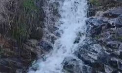 Karapınar'da dereler yeniden canlanıyor