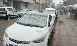 Karlıova'da nisan ayında kar sürprizi