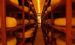 Kars Peynir Müzesi, yerli ve yabancı turistlerin ilgisini topladı