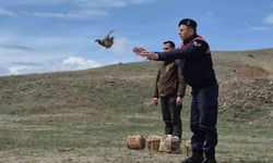 Kars'ta kaçak avcılara büyük darbe: 51 keklik doğaya salındı