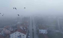 Kastamonu'da etkili sis