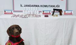 Kastamonu'da uyuşturucu baskını: 1 kişi tutuklandı