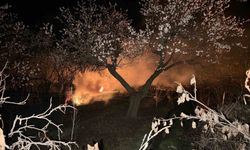 Kayısı ağaçları donmaya karşı ateşle korunuyor