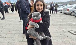 Kedisiyle Eskişehirspor Maçına Gelen Küçük Taraftar Dikkat Çekti