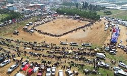 Kemalpaşa'da Boğa Güreşi Festivali coşkusu