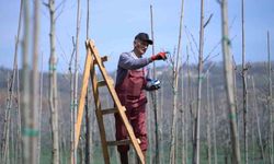 Kestel'de Bahar Hazırlıkları Tüm Hızıyla Devam Ediyor