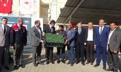 Kilis'te 320 çiftçiye üzüm şalı, 250 çiftçiye 400 bin fide yardımı