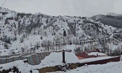 Kış geri döndü: Erzincan Refahiye'de kar yağışı etkisini gösterdi